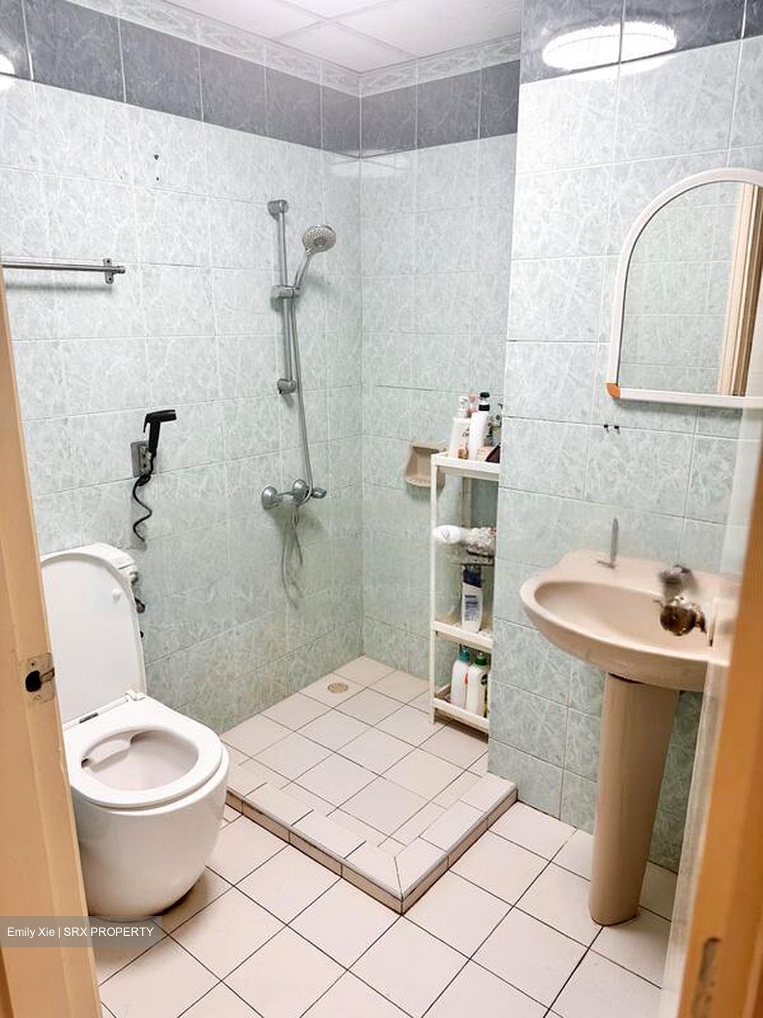 Central Green Condominium (D3), Condominium #449054551